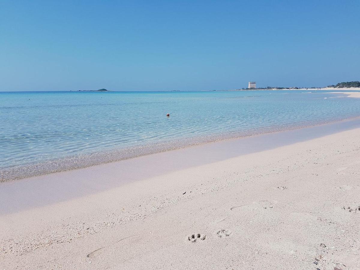 Hotel Posidonia 포르토 세자레오 외부 사진